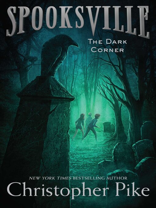 Cover image for The Dark Corner